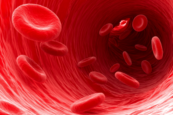Red-blood-cells